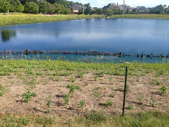 Fence around pond