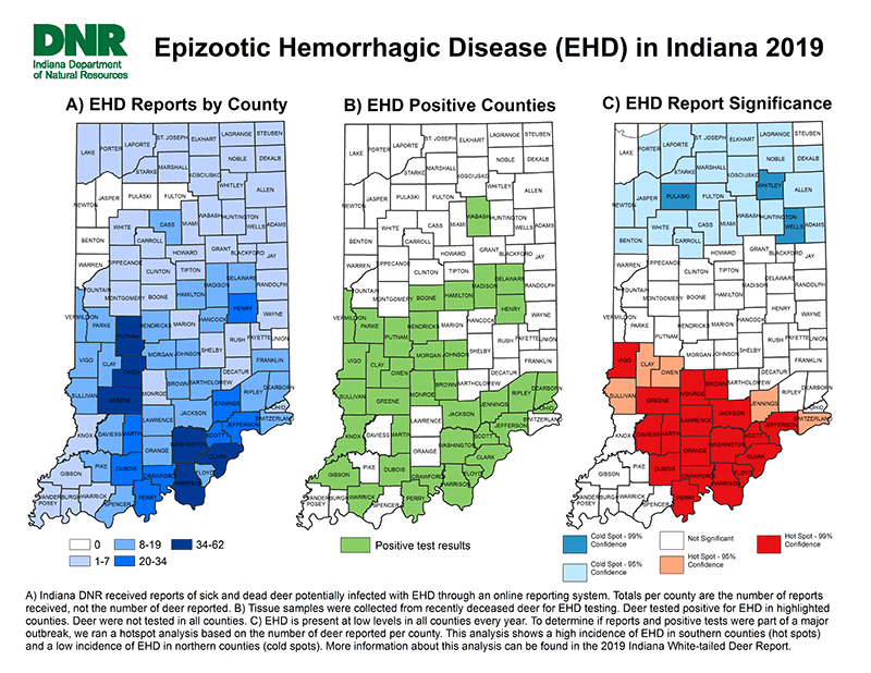 EHD map 2019