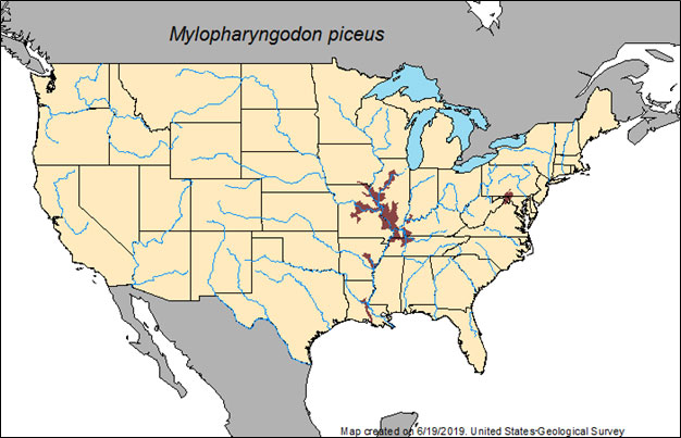 Black Carp Map