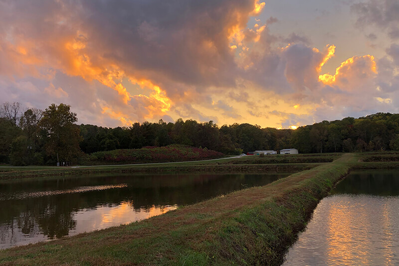 Cikakna Fish Hatchery ponds in fall