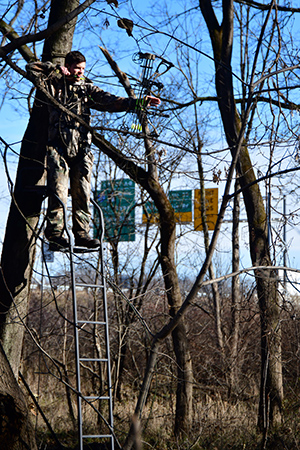 Man in deer stand aiming bow