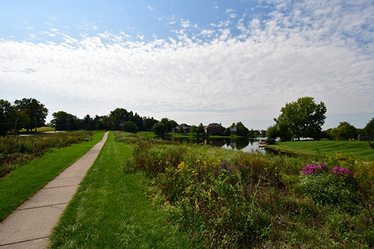 Buffer strip around pond.