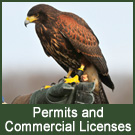 Permits and Commercial Licenses