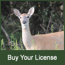 Buy Your License