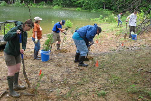 Planting vegetation