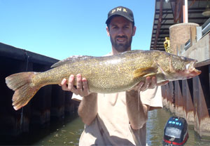 walleye