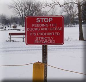 Do Not Feed Waterfowl Sign