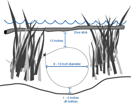 Underwater Snare