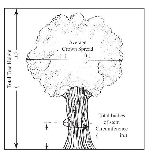 Diagram of what to measure