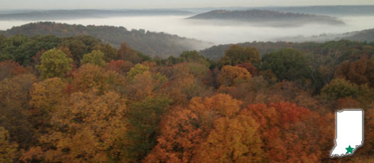 harrison-crawford state forest