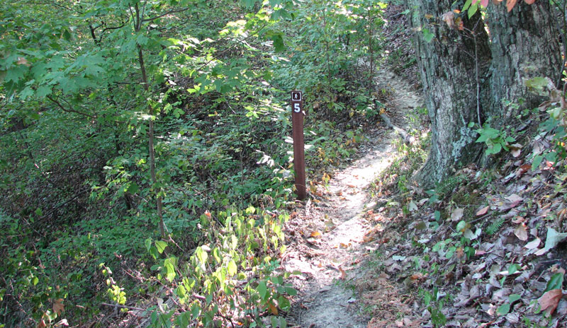 Hikers on Knobstone Trail