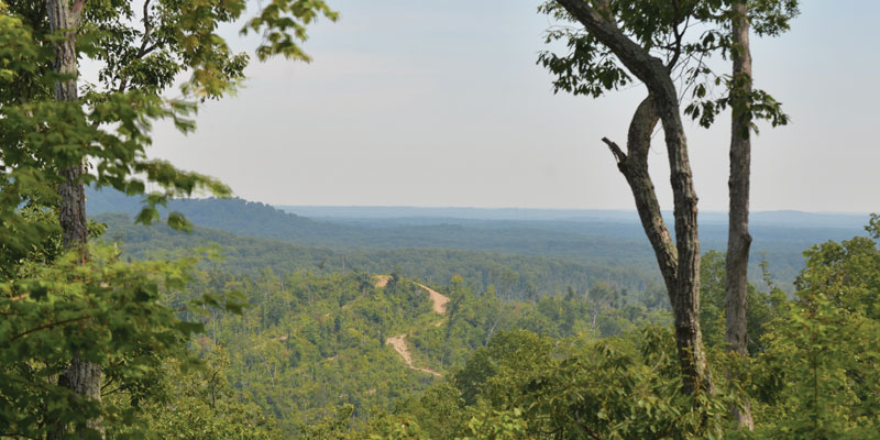 Knobstone Trail