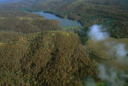 Yellowwood State Forest