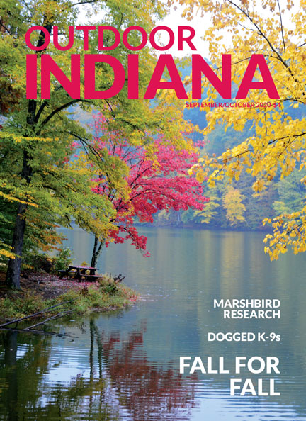 A light autumn rain falls on maple, beech and oak trees surrounding Ogle Lake in Brown County State Park. 