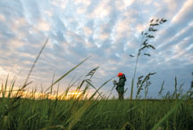 DNR ornithologist Allisyn Gillet takes notes on her marshbird finds at Goose Pond Fish & Wildlife Area just after sunrise. (Frank Oliver photo).