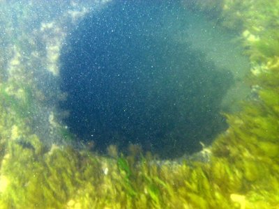 Unknown No. 6. Opening in metal sidewall at center of site. View northwest, 2011.