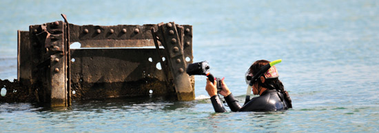 Wreck Diving