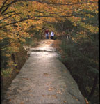 Devil's Backbone - Pine Hills Nature Preserve