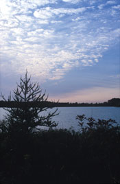 Olin Lake Nature Preserve