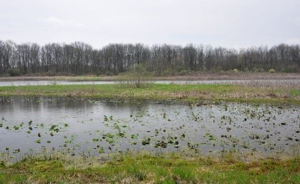 Perfect Lake Natire Preserve