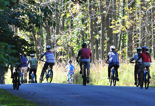 A group of cyclists