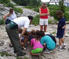 Interpretive Naturalists