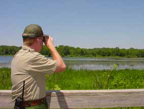 Interpretive Naturalist