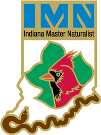 IMN logo