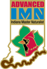 Advanced IMN logo