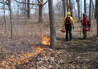 Prescribed burn